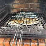 Visitar Bioucas I * Souto (Santarem)