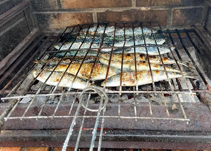 Visitar Bioucas I * Souto (Santarem)