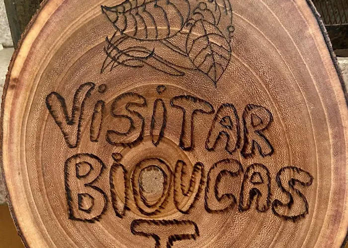 Visitar Bioucas I Apartment Souto (Santarem)