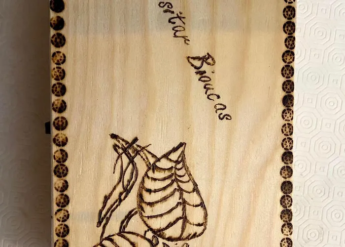 Apartment Visitar Bioucas I Souto (Santarem)