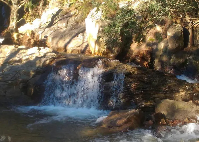 Lejlighed Visitar-bioucas-i-al-q-nature-and-well-being-rnal-43962-al Souto (Santarem)