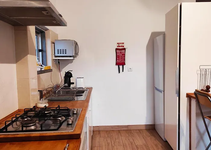 Apartment Visitar Bioucas I Souto (Santarem)