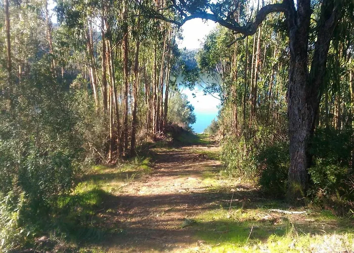 Apartment Visitar Bioucas I